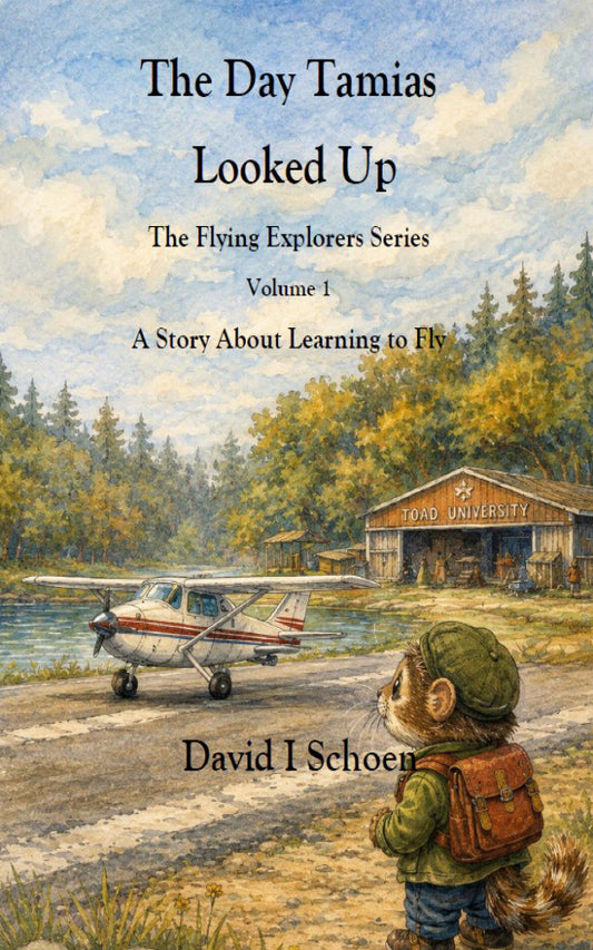 The Day Tamias Looked Up — Learn How Airplanes Fly | Flying Explorers Book 1 | Beginner Aviation Story for Kids & Adults