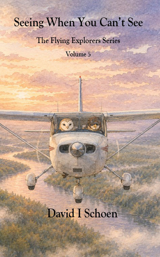 Seeing When You Can't See, The Flying Explorers, Book 5